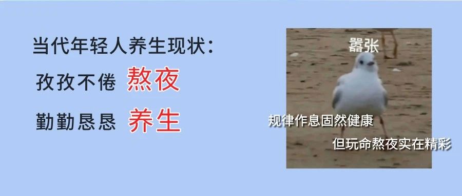 做针灸、正骨、推拿,都需要哪些资质?