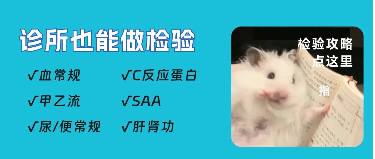 诊所怎么开展血常规、甲乙流检验？常见问题解答